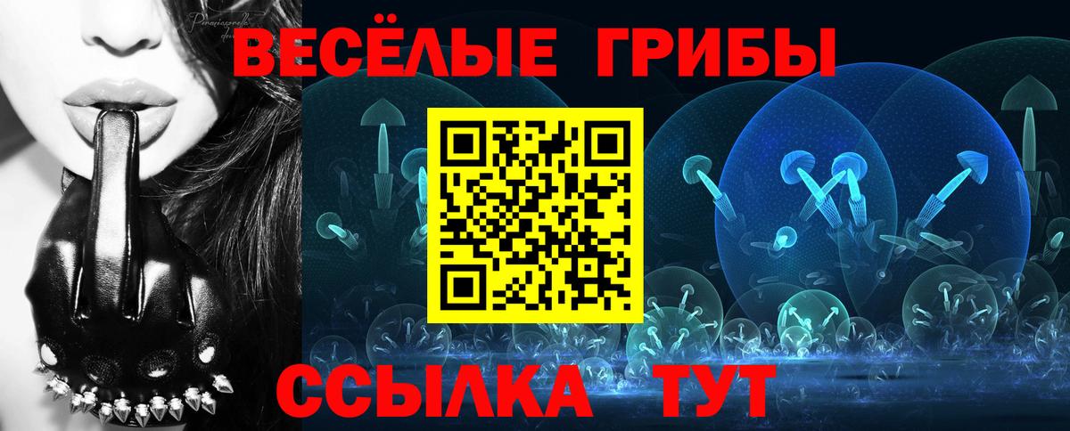 Галлюциногенные грибы Psilocybe Волгодонск