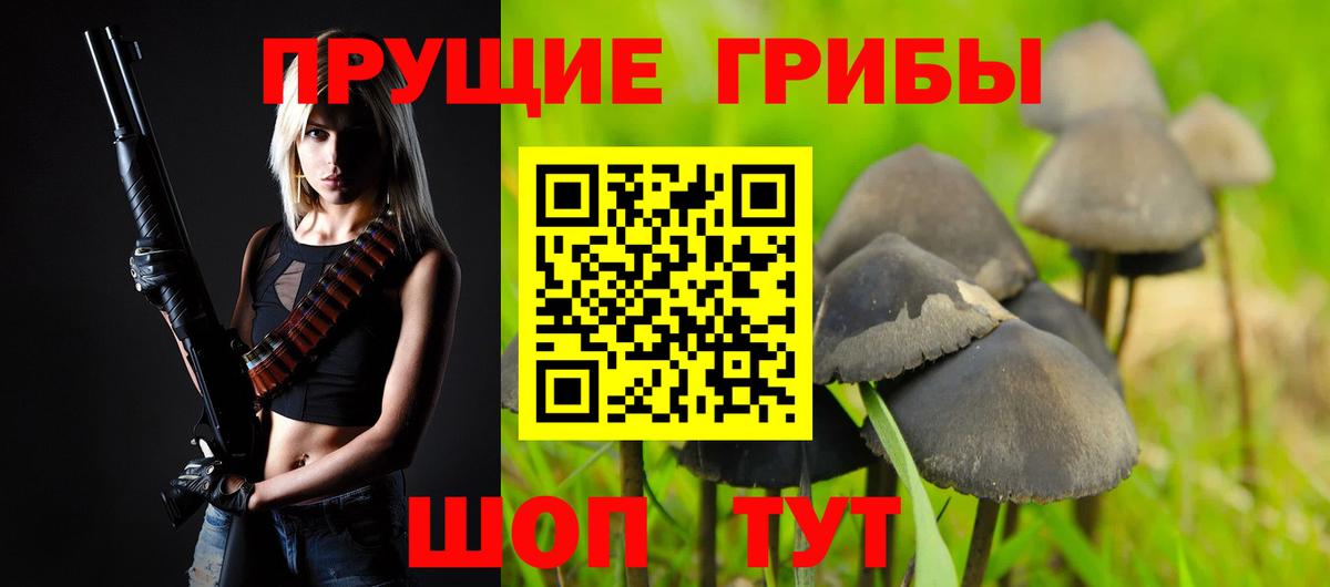 Волгодонск  Галлюциногенные грибы прущие грибы  Вход с VPN 